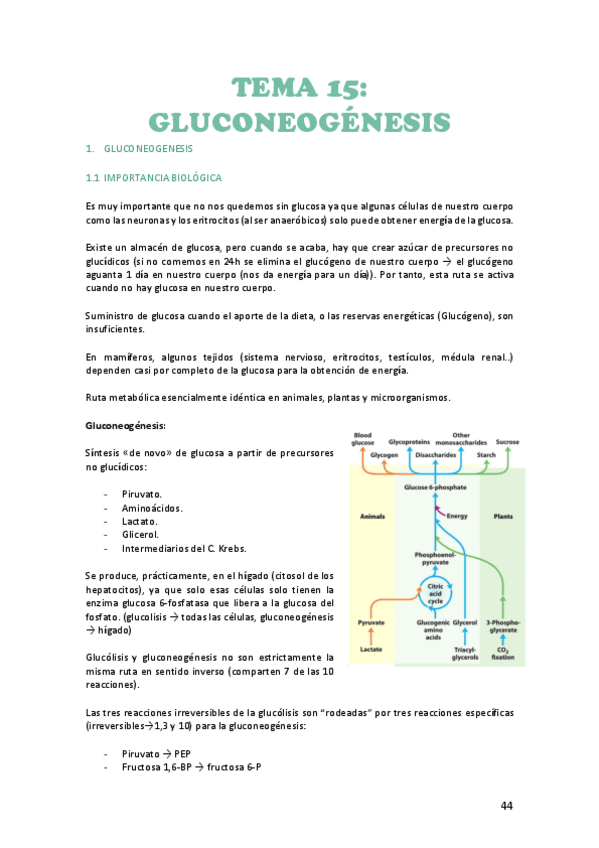 Miniatura del documento tema-15-bioquimica.pdf