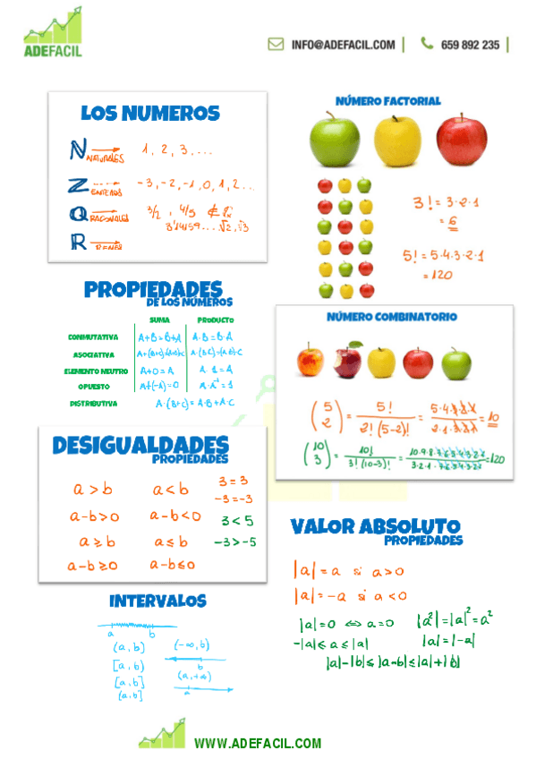 Miniatura del documento TEMA-1.-Conceptos-basicos-1.pdf