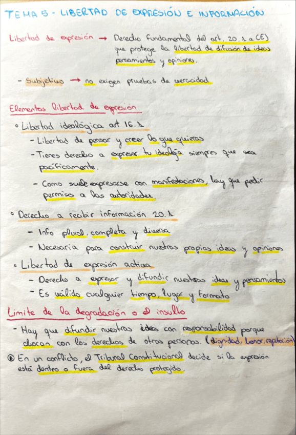 Miniatura del documento TEMA-5-LIBERTAD-DE-EXPRESION-E-INFORMACION.pdf