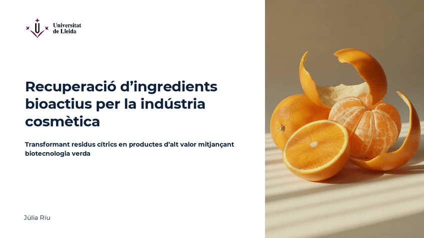 Miniatura del documento PRESENTACIO-HORIZON-EUROPA.pdf