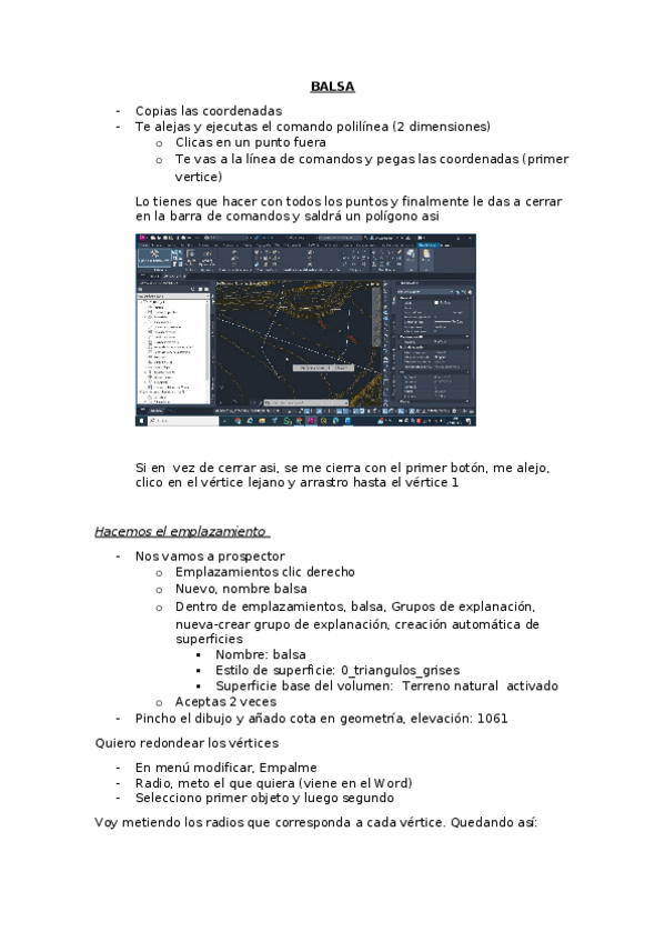 Miniatura del documento BALSA.docx