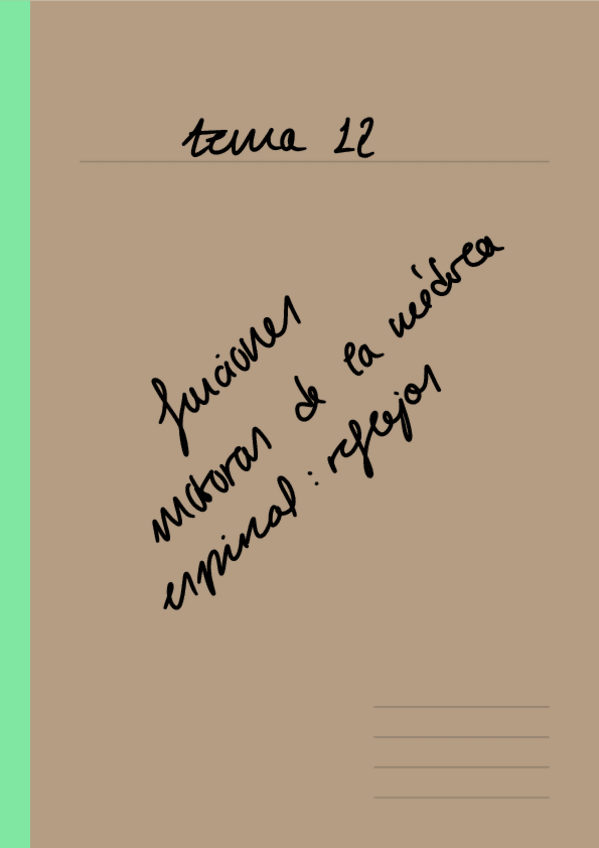 Miniatura del documento Tema-12-Esquema-Funciones-motoras-medula-espinal.-Reflejos.pdf