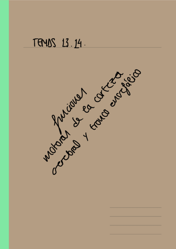 Miniatura del documento TEMAS-13-14-Esquema-Funciones-motoras-corteza-cerebral-y-tronco-encefalo.pdf