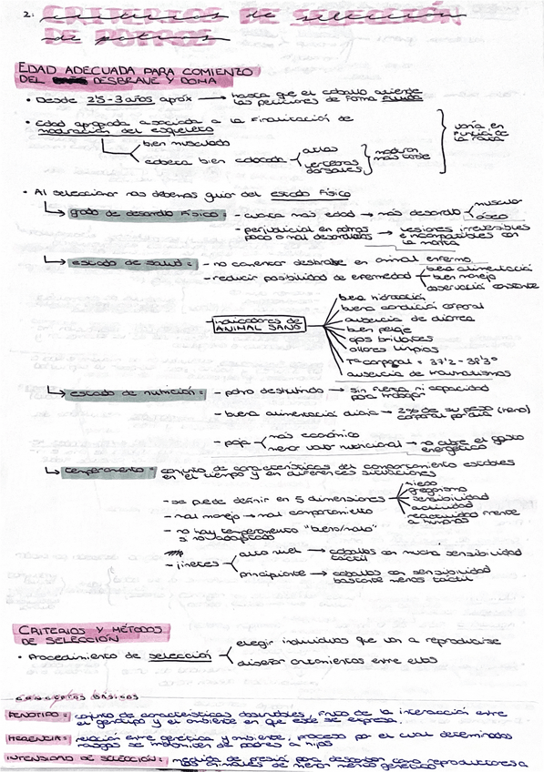 Miniatura del documento OSDME-TEMA-2-Criterios-de-Seleccion-de-Potros.pdf