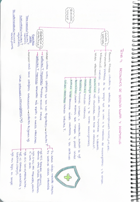 Miniatura del documento TEMA-4.-MECANISMOS-DE-DEFENSA-INNATA-Y-ADAPTATIVA.pdf