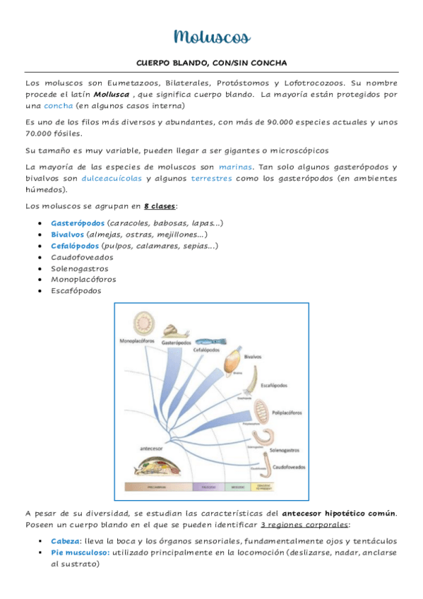 Miniatura del documento Moluscos.pdf