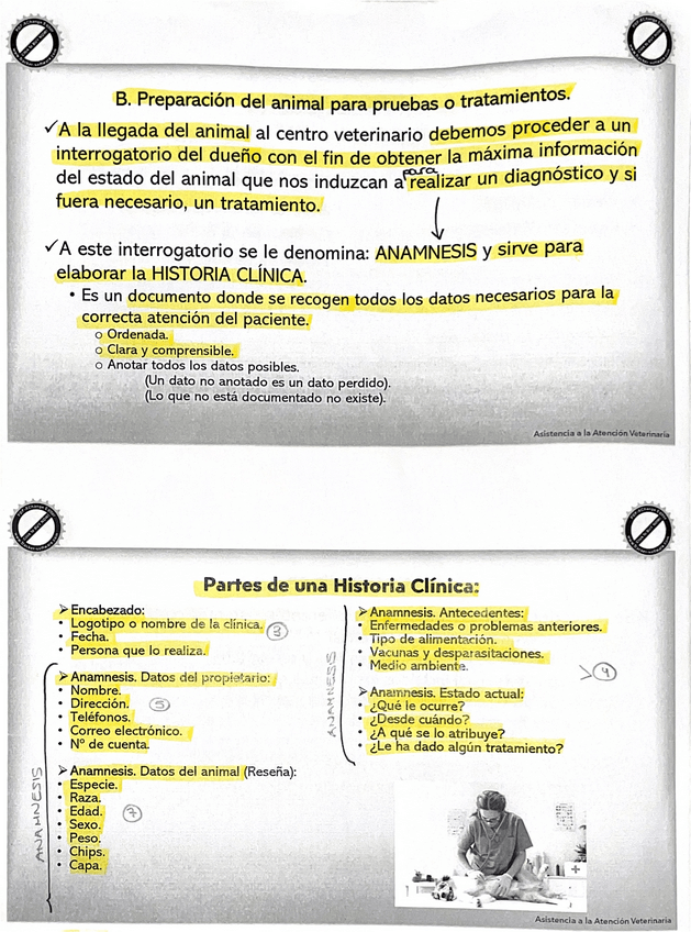 Miniatura del documento AAV-TEMA-2.1-Preparacion-del-Animal.pdf