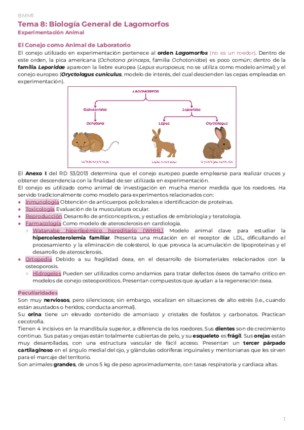 Miniatura del documento BMM1Tema-8-Biologia-General-de-Lagomorfos.pdf