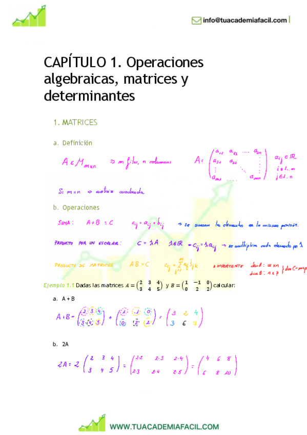 Miniatura del documento Capitulo-1.pdf