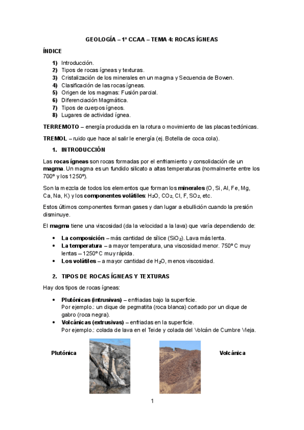 Miniatura del documento GEOLOGIA-TEMA-4.pdf
