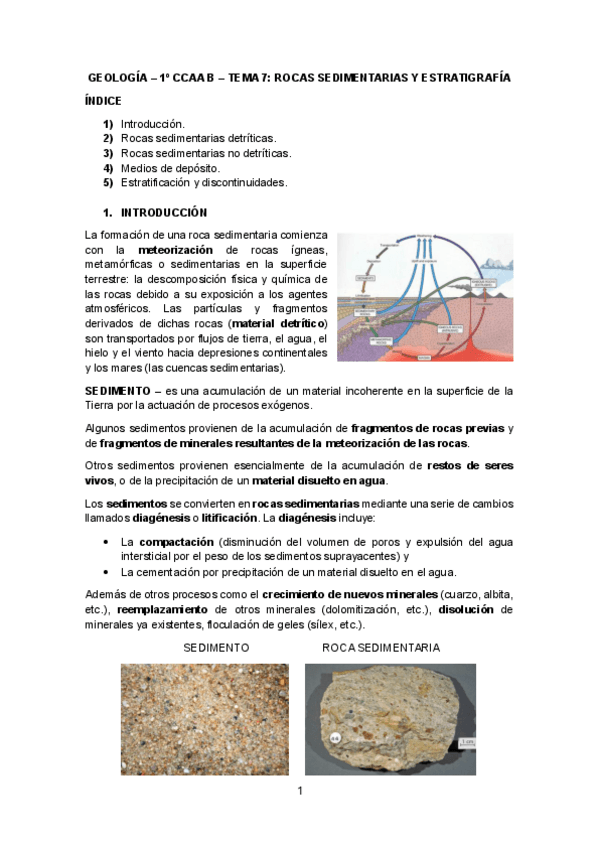 Miniatura del documento GEOLOGIA-TEMA-7.pdf