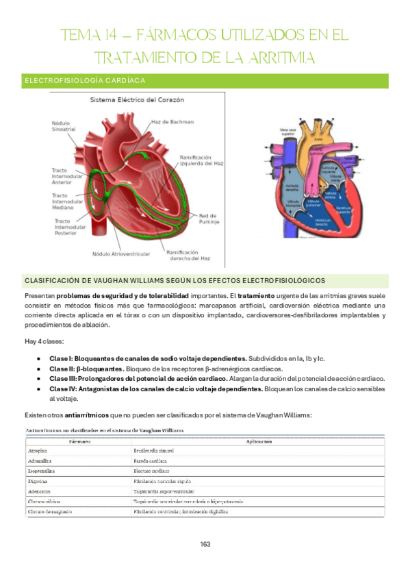 Miniatura del documento Tema-14-Farmacologia-Clinica.pdf