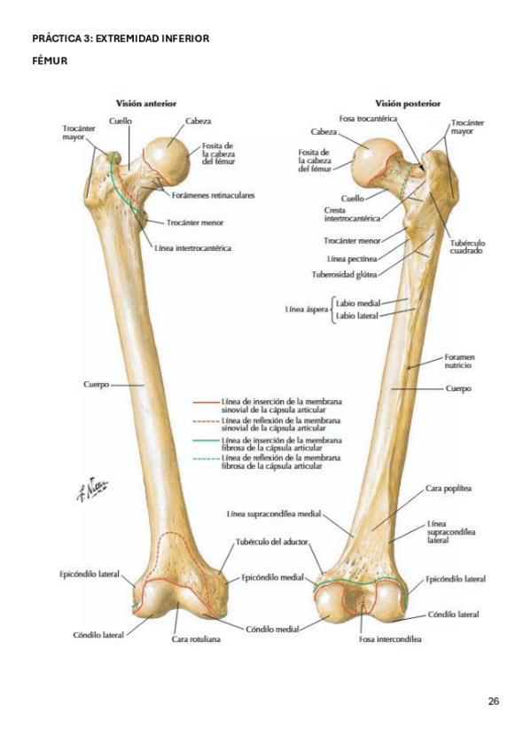 Miniatura del documento PRACTICA-3.pdf