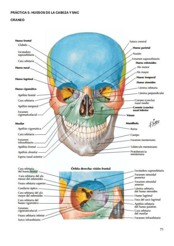 Miniatura del documento PRACTICA-5.pdf