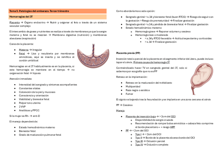 Miniatura del documento esqT5.pdf