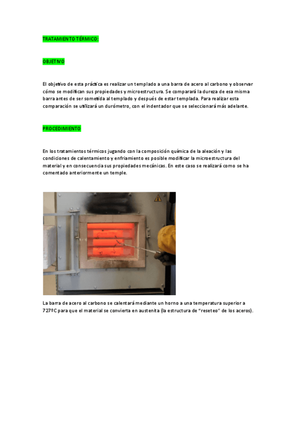 Miniatura del documento TRATAMIENTO-TERMICO.pdf