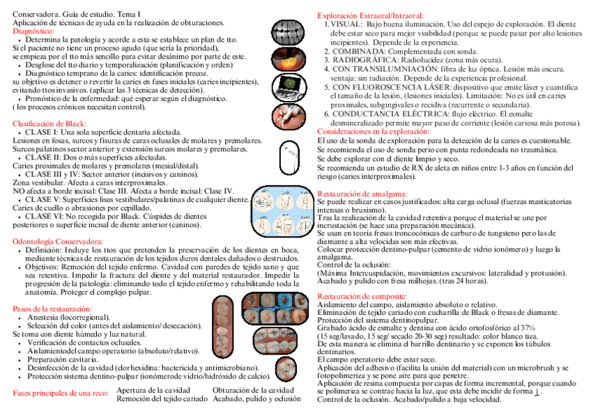 Miniatura del documento Conservadora.-Guia-1.pdf