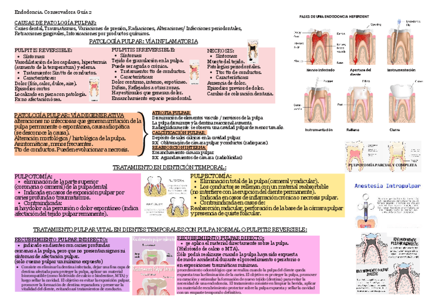 Miniatura del documento Conservadora.-Guia-2.pdf