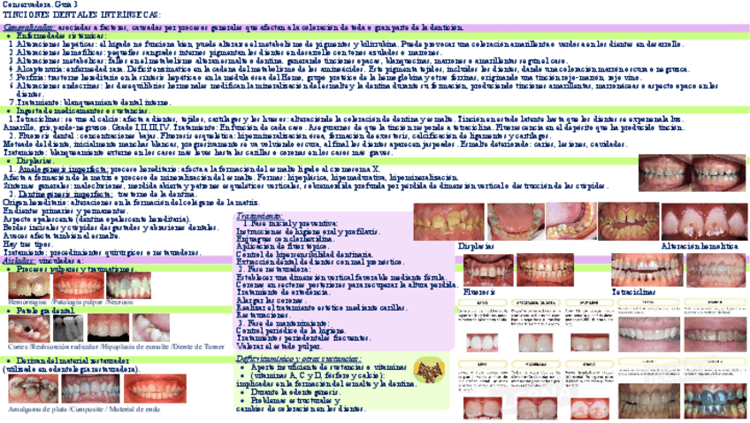Miniatura del documento Conservadora.-Guia-3.pdf