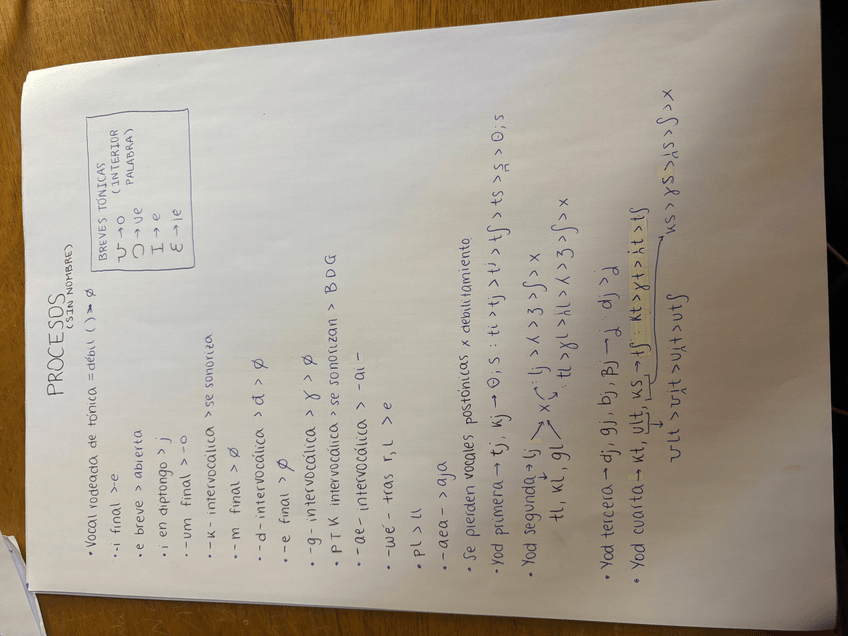 Miniatura del documento IMG7440.jpeg