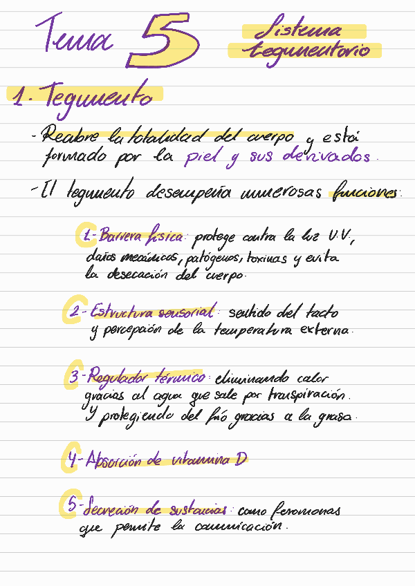 Miniatura del documento 5-SISTEMA-TEGUMENTARIO-E.C.H..pdf