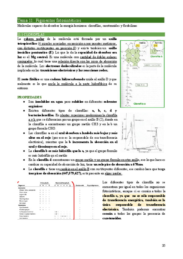 Miniatura del documento FV1-Tema11.pdf