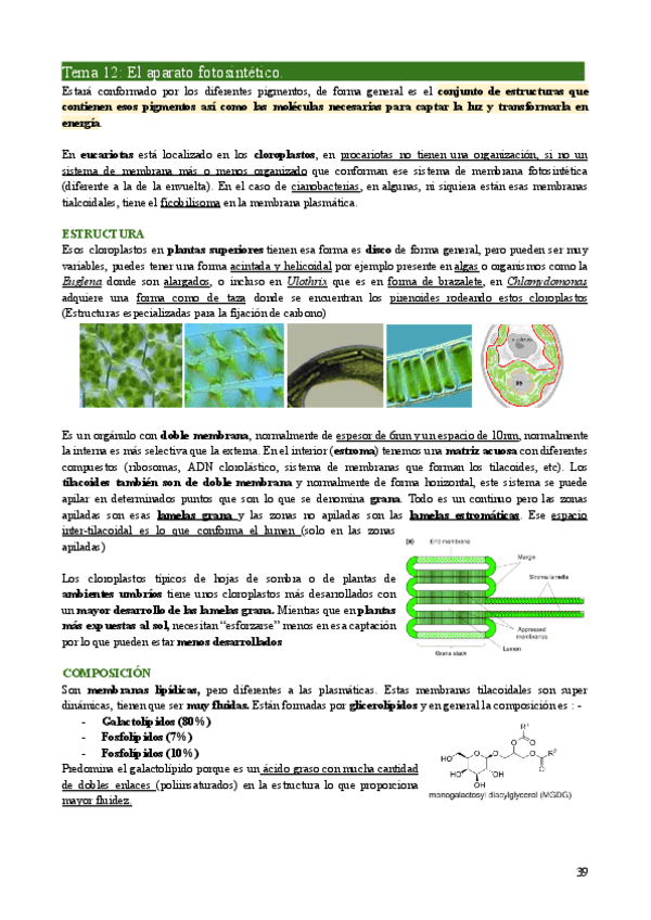 Miniatura del documento FV1-Tema12.pdf
