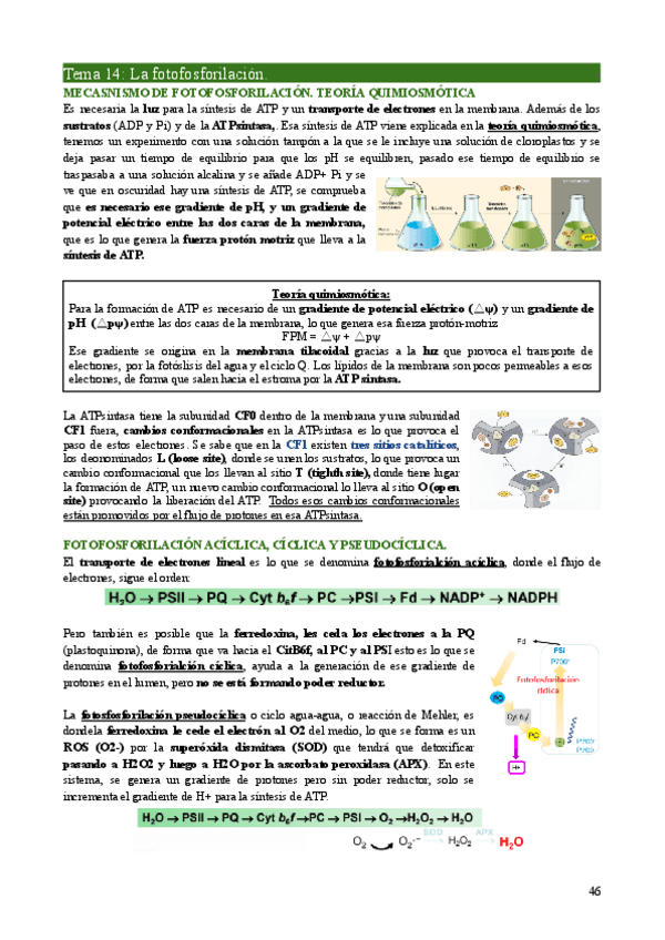 Miniatura del documento FV1-Tema14.pdf