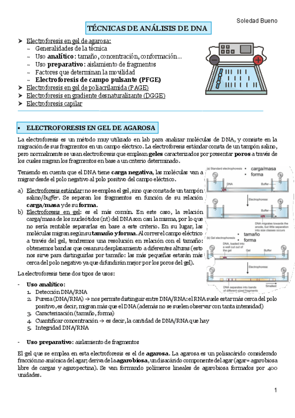 Miniatura del documento TEMA-4-IG.pdf