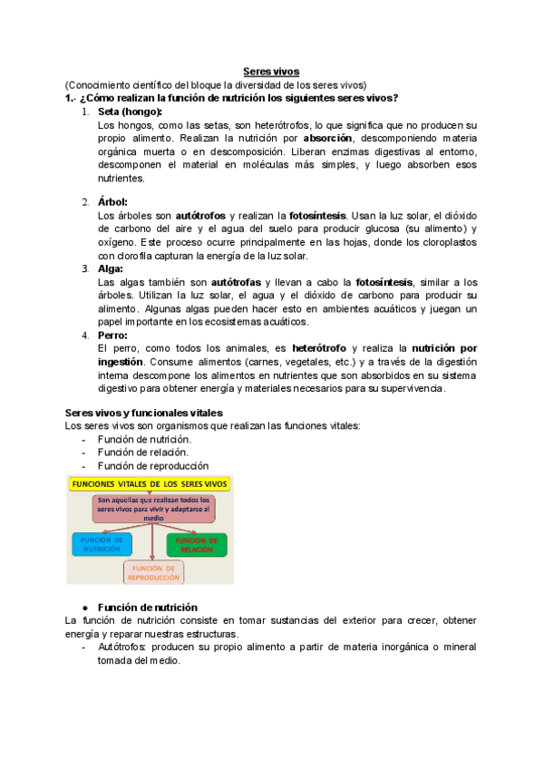 Miniatura del documento Respuestas-Seres-vivos-Naturales.pdf