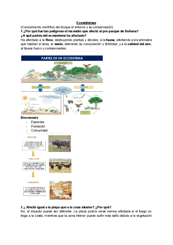 Miniatura del documento Respuestas-Ecosistemas-Naturales.pdf