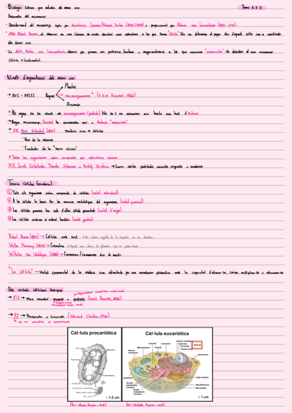 Miniatura del documento Biologia-celular-i-genetica.pdf