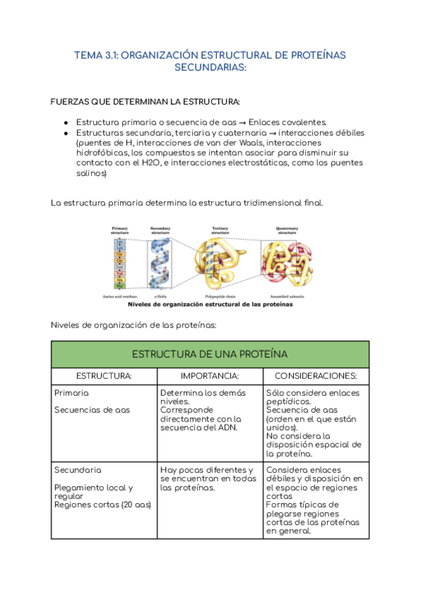 Miniatura del documento T.3.1-Organizacion-estructural-de-proteinas-secundarias.pdf