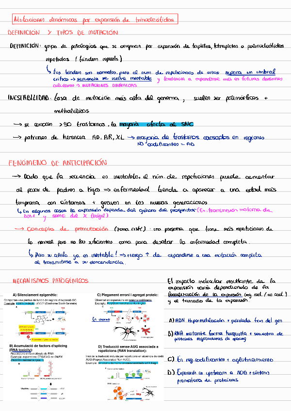 Miniatura del documento 15-Mutaciones-por-expansion-de-nucleotidos.pdf