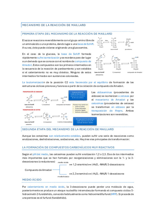 Miniatura del documento Mecanismo-de-la-Reaccion-de-Maillard-T5.pdf