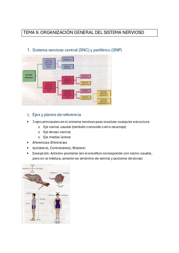 Miniatura del documento TEMA-9-B-1.pdf