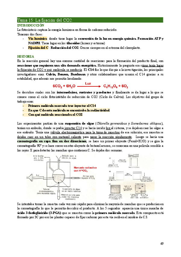 Miniatura del documento FV1-Tema15.pdf