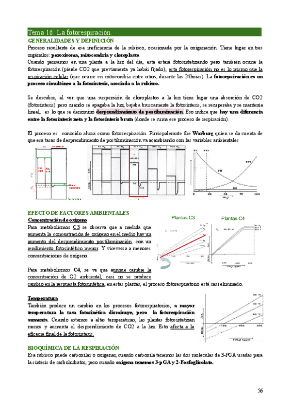 Miniatura del documento FV1-Tema16.pdf