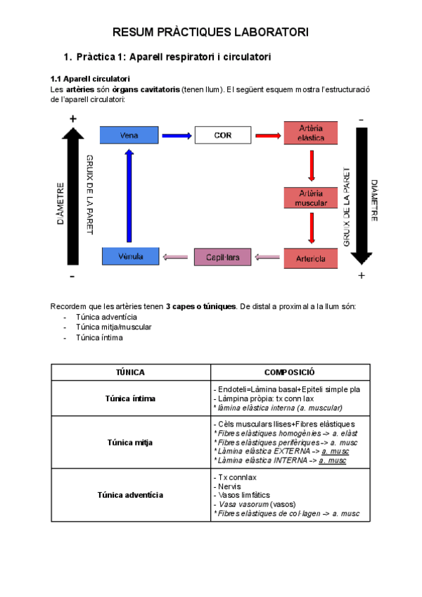 Miniatura del documento Teoria-practiques-lab-1r-quatri.pdf