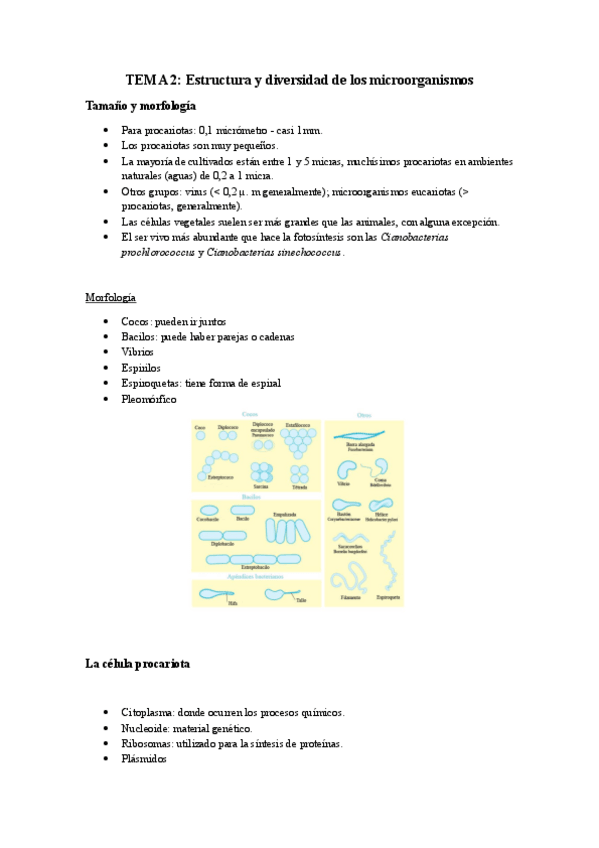 Miniatura del documento TEMA-2.pdf