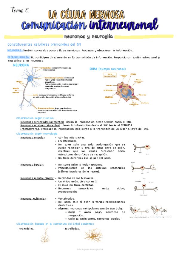 Miniatura del documento TEMA-6.-FuBiCo.pdf