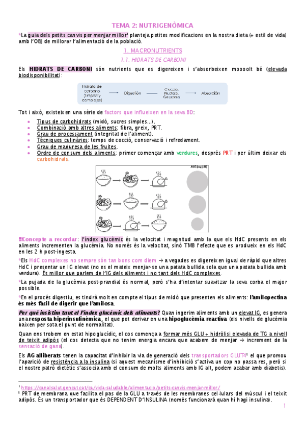 Miniatura del documento tema-2-nutrigenomica.pdf