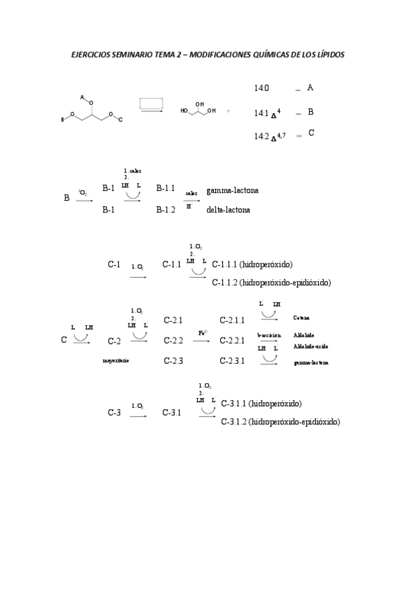 Miniatura del documento EJERCICIOS-SEMINARIO-TEMA-2.pdf