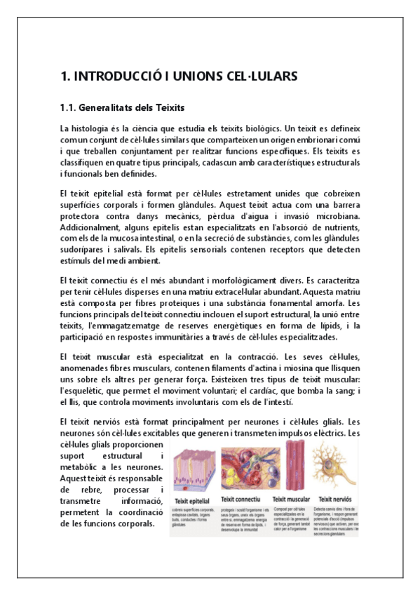Miniatura del documento Histologia.pdf