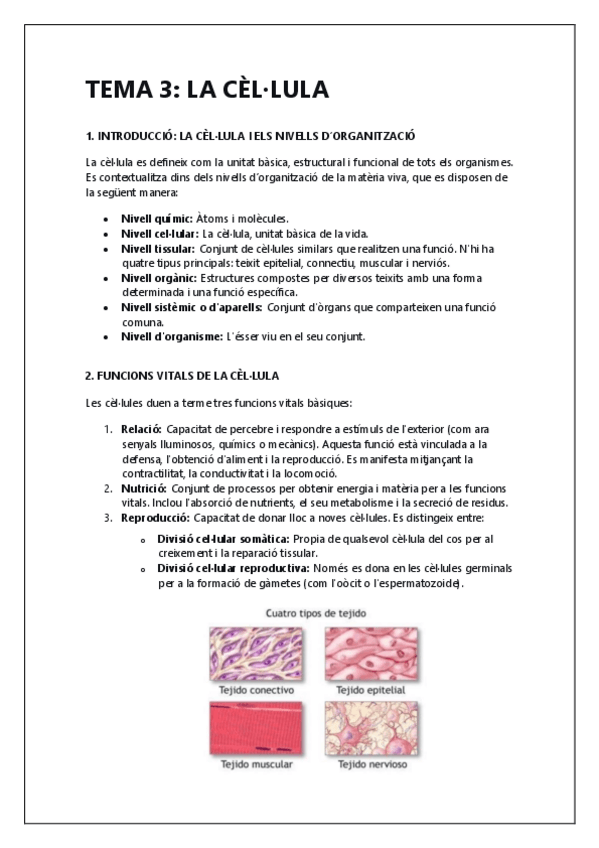 Miniatura del documento Celula.pdf