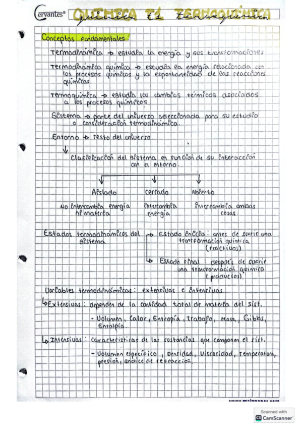 Miniatura del documento QUIMICA-T1.pdf