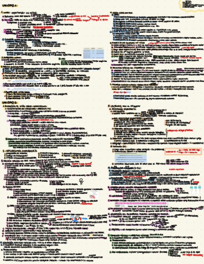 Miniatura del documento infancia-unidad-1-y-2.pdf