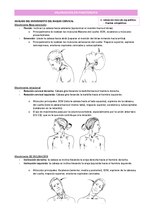 Miniatura del documento T7_Análisis del movimiento y PO del raquis_Valoración en fisioterapia.pdf.pdf
