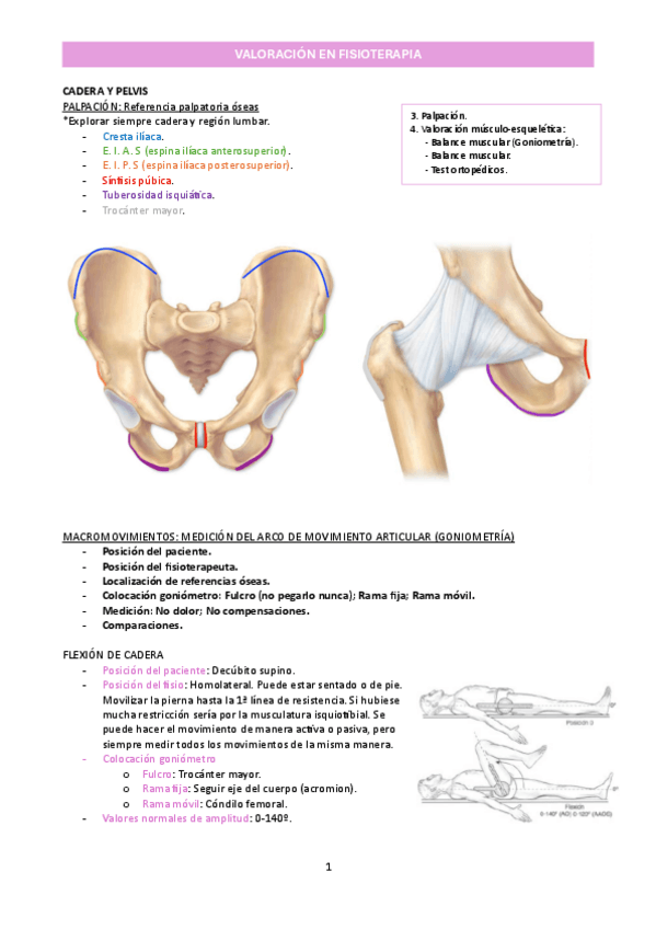 Miniatura del documento T10_Valoración de cadera y pelvis_Valoración en fisioterapia.pdf.pdf
