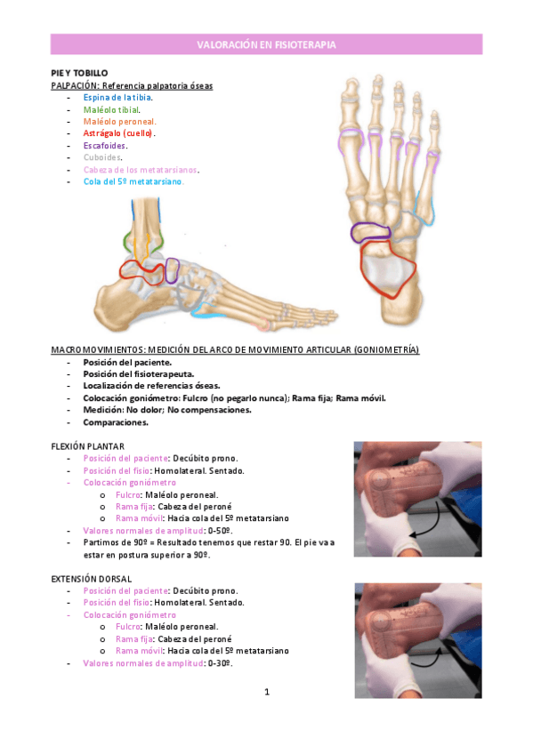 Miniatura del documento T12_Valoración de pie y tobillo_Valoración en fisioterapia.pdf.pdf